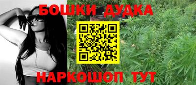 прущие крисы Ставрополь