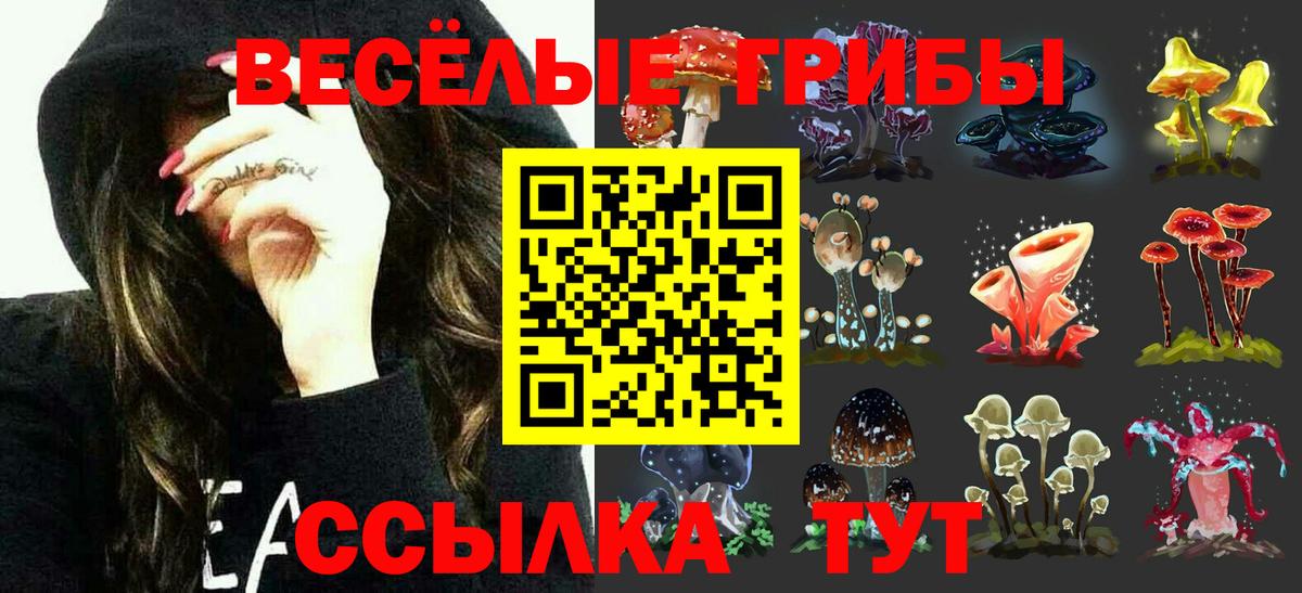 Галлюциногенные грибы мухоморы Новоуральск
