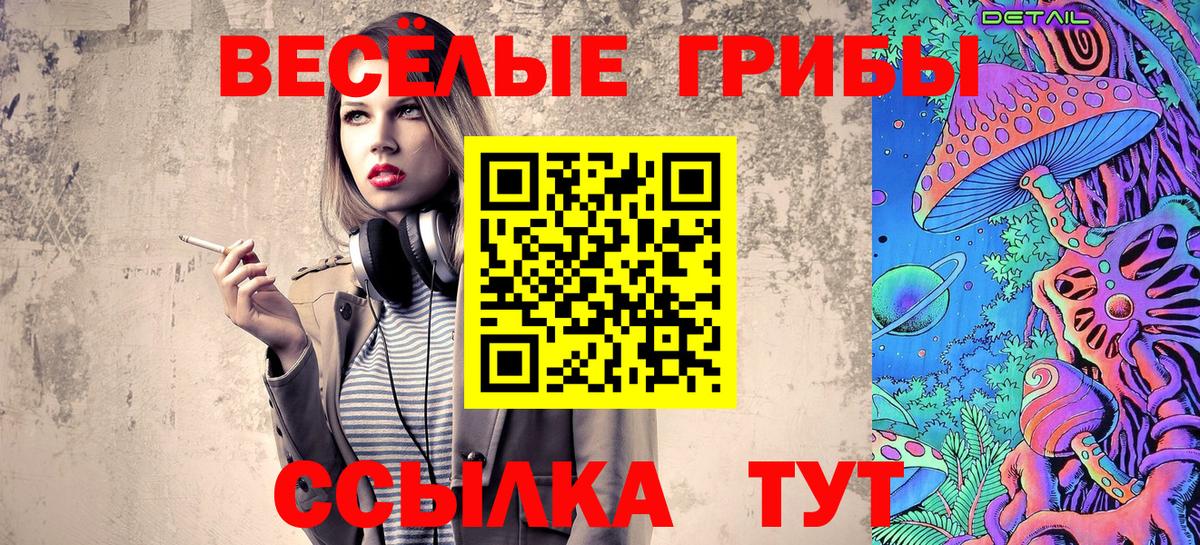 Псилоцибиновые грибы Psilocybe  Вход с VPN  Новоуральск 